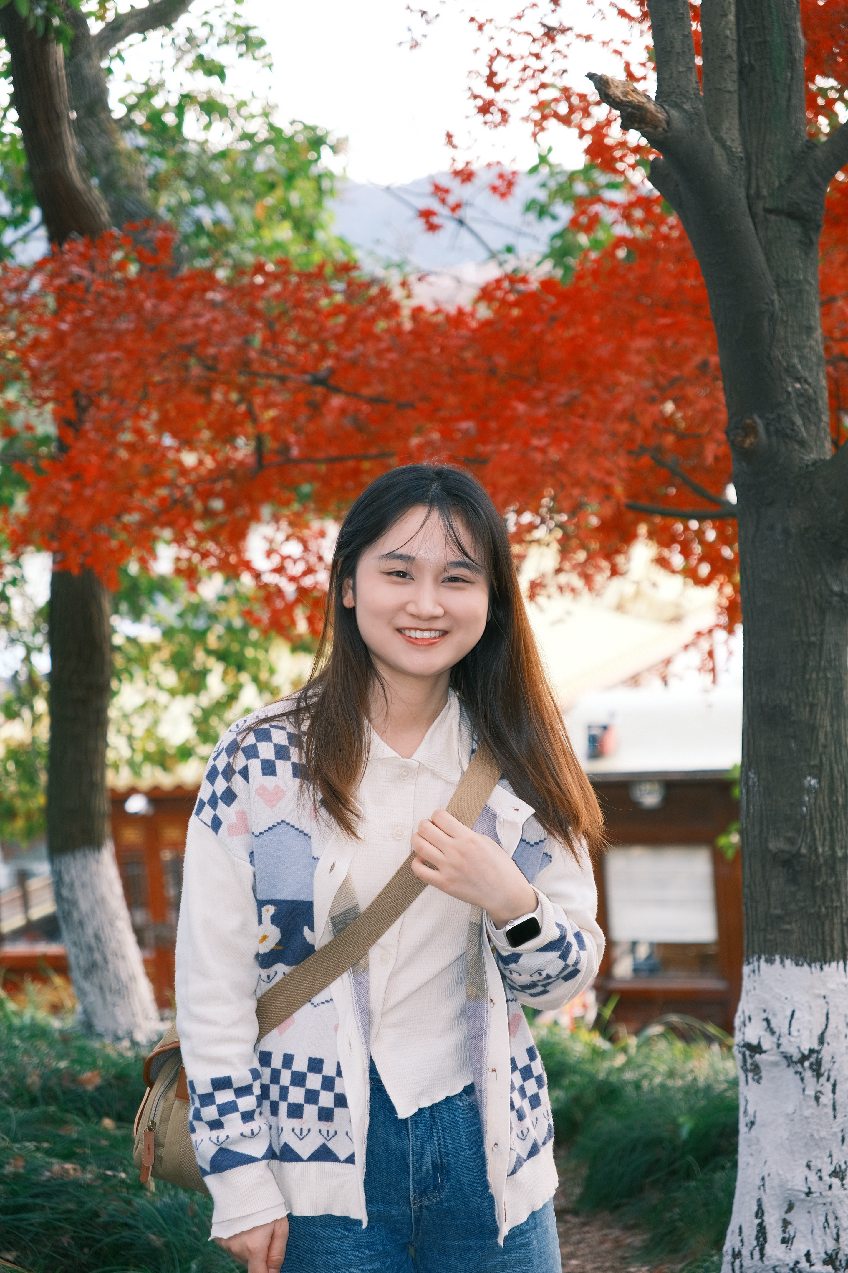 张子璐