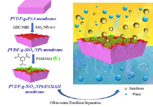 Surface Interface Engineering Of Polymer Membranes