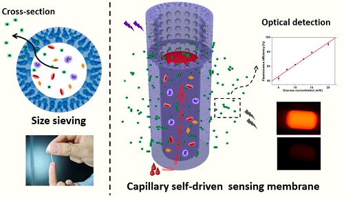 Surface Interface Engineering Of Polymer Membranes