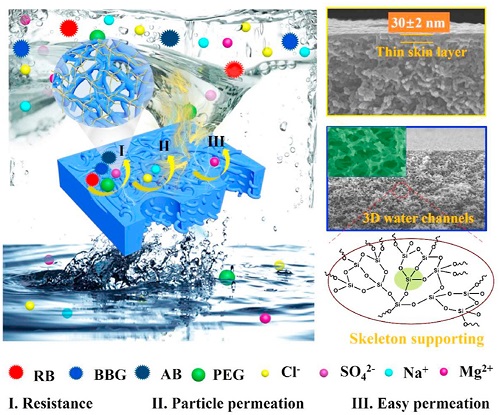 Surface Interface Engineering Of Polymer Membranes